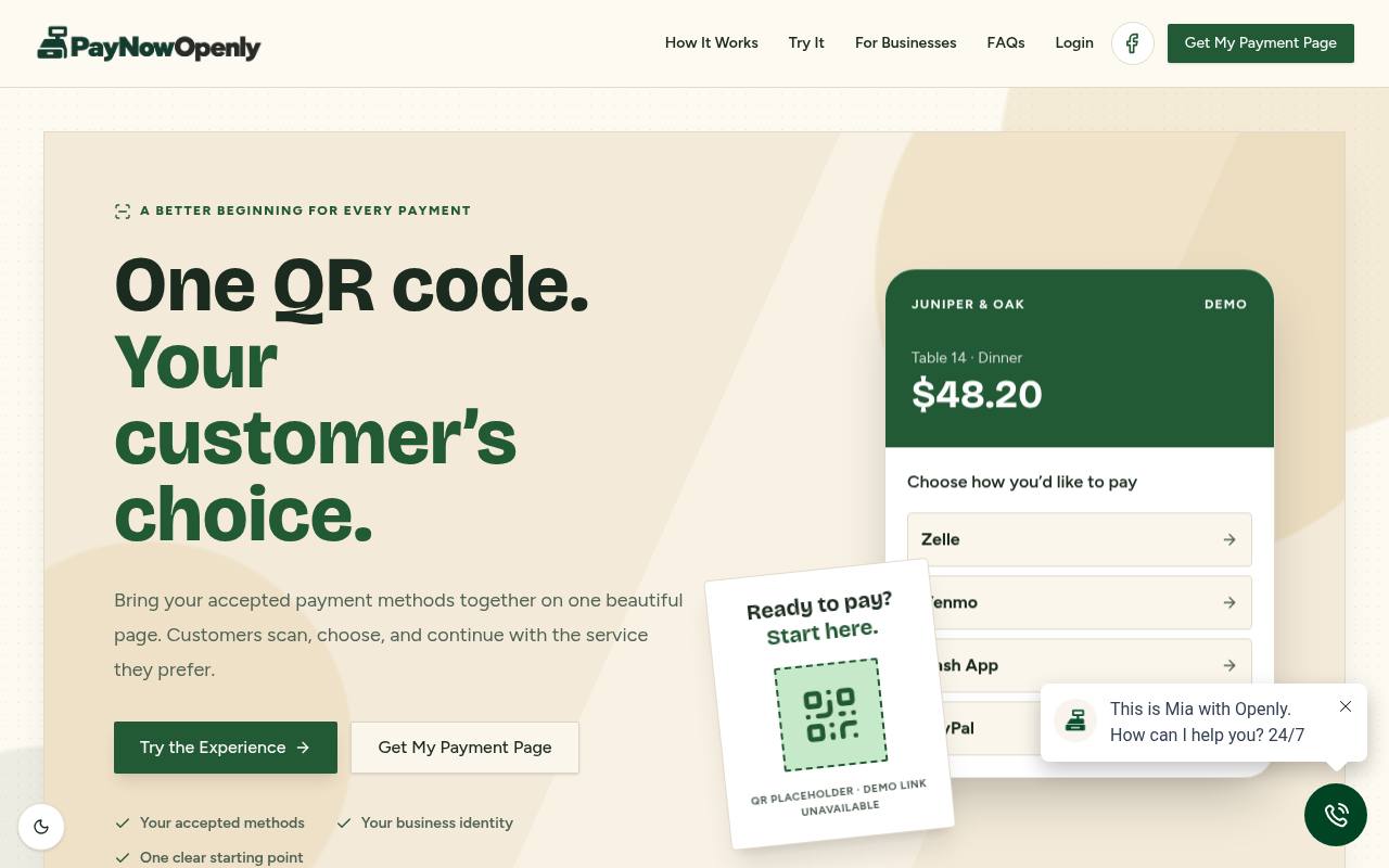 Front page of Pay Now Openly